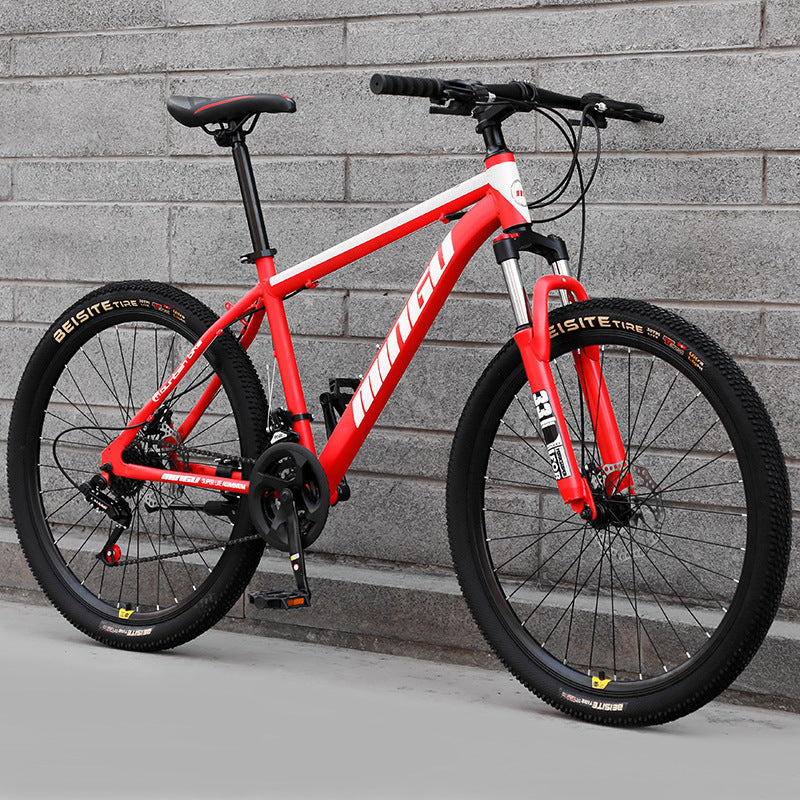 VTT 24-26 Pouces Mixte Freins Disque - Vélo Montagne